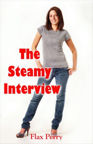 Cover of the book The Steamy Interview by Herman Melville