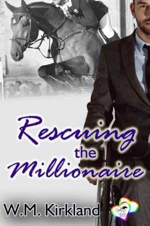 Cover of the book Rescuing the Millionaire by Mary Winter