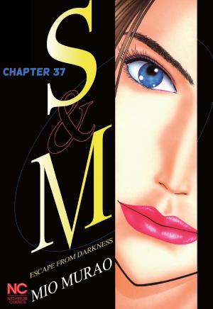 Cover of the book S and M by Jude Liebermann