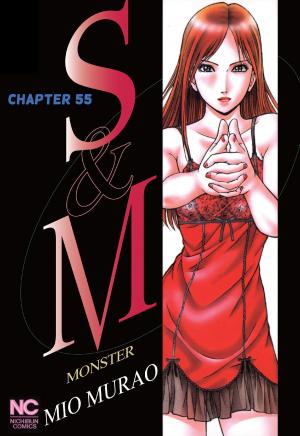 Cover of the book S and M by Erme Lander