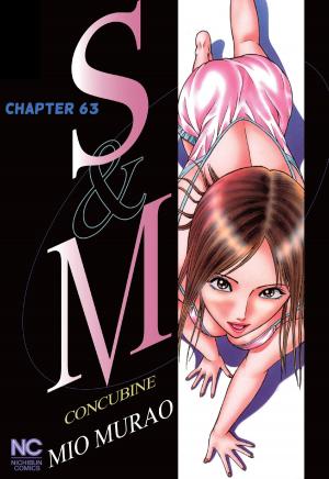 Cover of the book S and M by Jacques-Émile Blanche