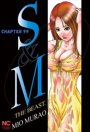 Cover of the book S and M by Ariko Kanazawa
