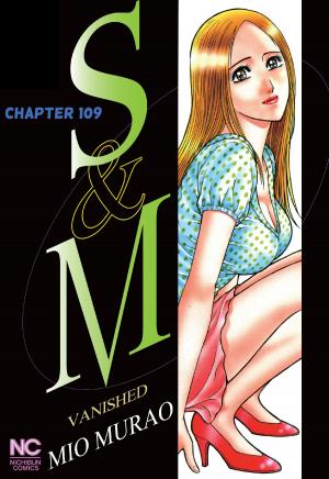 Cover of the book S and M by Merline Lovelace