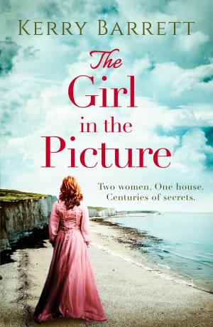 Cover of the book The Girl in the Picture by Dan Gutman