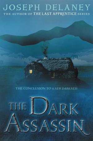 Book cover of The Dark Assassin