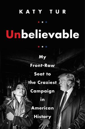 Cover of the book Unbelievable by Stewart Edwards