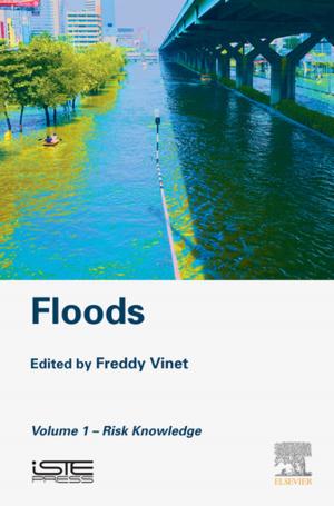 Cover of the book Floods by Isak Beilis, Michael Keidar, Ph.D., Tel Aviv University