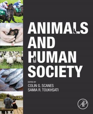 Cover of the book Animals and Human Society by Nan D. Hunter