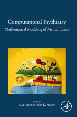 Cover of the book Computational Psychiatry by 