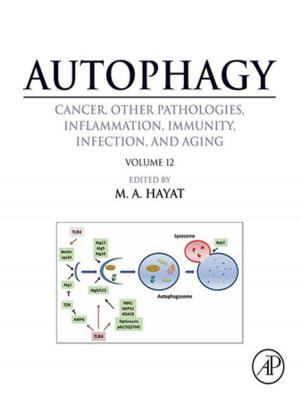 Cover of the book Autophagy: Cancer, Other Pathologies, Inflammation, Immunity, Infection, and Aging by Peter G. Nicholson