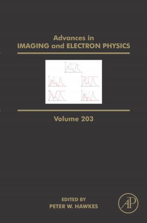 Cover of the book Advances in Imaging and Electron Physics by Stanislav Naboychenko, N. A. Yefimov