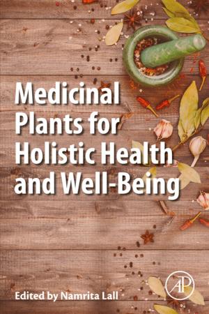 Cover of the book Medicinal Plants for Holistic Health and Well-Being by Jean Berthier