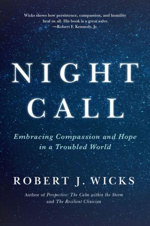 Cover of the book Night Call by Seth Masket