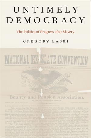 Cover of the book Untimely Democracy by Jack Lyons