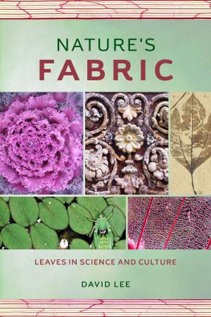 Cover of the book Nature's Fabric by Gabriel Zucman