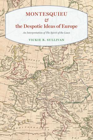 Cover of the book Montesquieu and the Despotic Ideas of Europe by Jean-Luc Marion