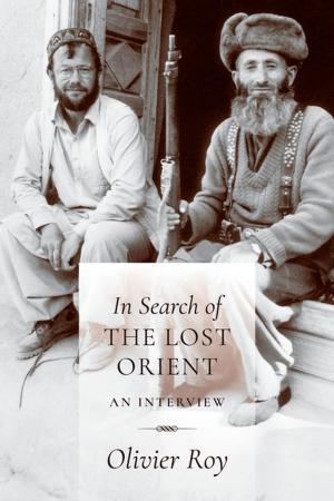 Cover of the book In Search of the Lost Orient by Anyi Wang