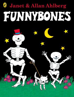 Book cover of Funnybones
