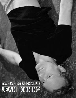 Cover of the book Twelve Step Charlie by Lee Henson