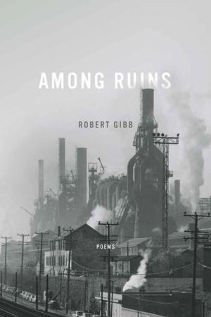 Cover of the book Among Ruins by Farrell O'Gorman