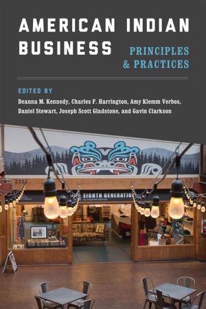 bigCover of the book American Indian Business by 