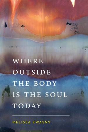 Cover of the book Where Outside the Body Is the Soul Today by Sarah R. Hamilton