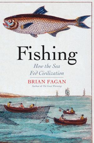 Cover of the book Fishing by Susan Landau