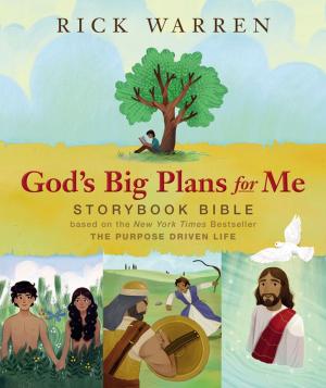 Cover of the book God's Big Plans for Me Storybook Bible by Chris Auer