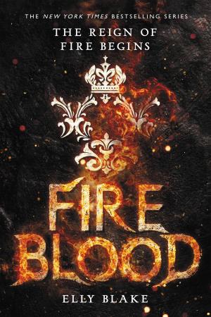 Cover of the book Fireblood by Ann Dee Ellis