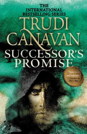 Book cover of Successor's Promise