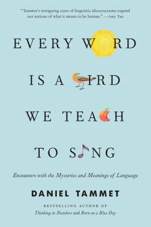 Cover of the book Every Word Is a Bird We Teach to Sing by George Plimpton