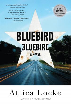 Cover of the book Bluebird, Bluebird by Michael Redhill