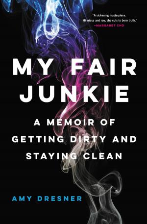 Cover of the book My Fair Junkie by Christopher Greenslate, Kerri Leonard