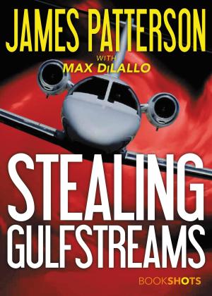 Cover of the book Stealing Gulfstreams by Catherine Newman
