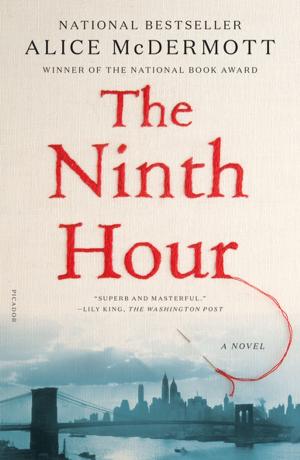 bigCover of the book The Ninth Hour by 