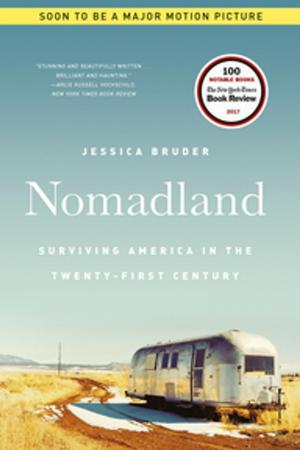 Cover of the book Nomadland: Surviving America in the Twenty-First Century by James Lasdun