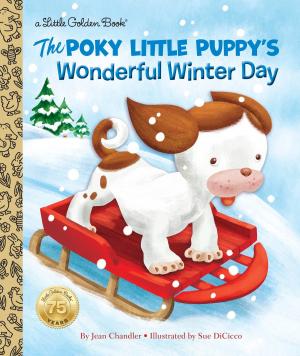 Cover of the book The Poky Little Puppy's Wonderful Winter Day by Todd Harris Goldman