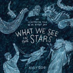 Cover of the book What We See in the Stars by Sander Lam