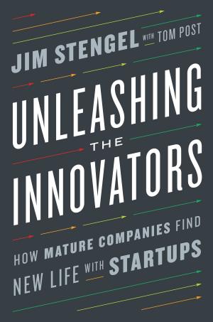 bigCover of the book Unleashing the Innovators by 