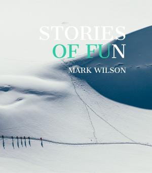 Cover of the book Stories of Fun by Xavier Neal