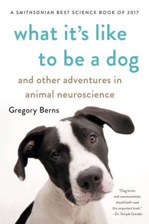 Cover of the book What It's Like to Be a Dog by 