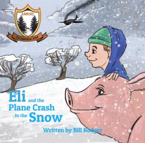 Book cover of Eli and the Plane Crash in the Snow
