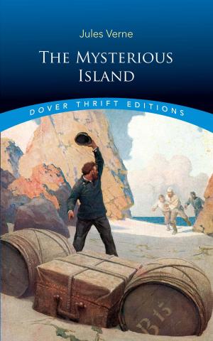 Cover of the book The Mysterious Island by Edward Stoddard