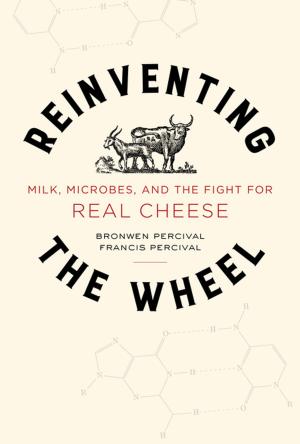 Book cover of Reinventing the Wheel