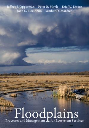Cover of the book Floodplains by Sarah Bronwen Horton