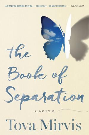 Cover of the book The Book of Separation by Lauren Baratz-Logsted
