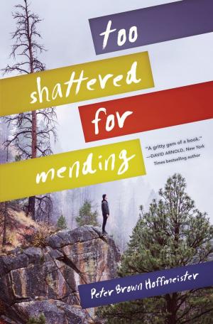 Cover of the book Too Shattered for Mending by Tad Hills