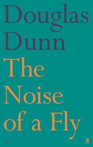 Cover of the book The Noise of a Fly by Fintan O'Toole