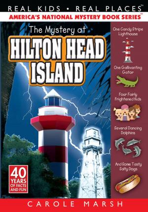 Book cover of The Mystery at Hilton Head Island