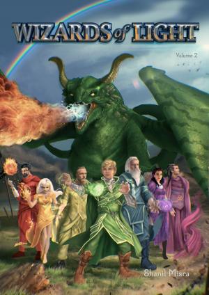 Cover of the book Wizards of Light Volume 2 by Zvi Zaks